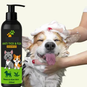 19994
